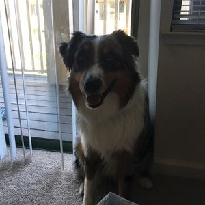 Meet your Posher, Tina